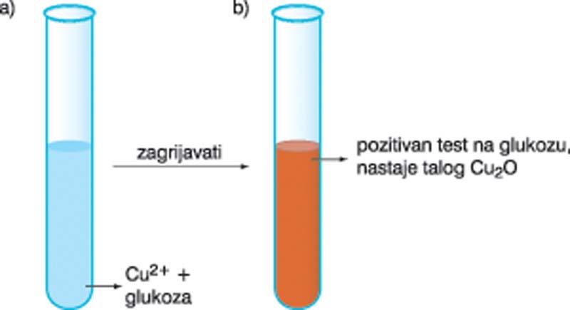 22.5 Trommerov test.jpg